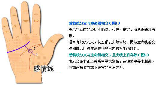 最详细的女人手相图解 最详细的女人手相图解