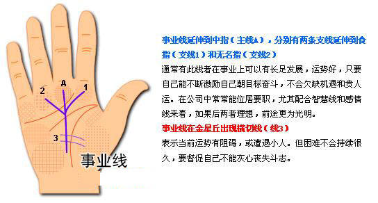 最详细的女人手相图解 最详细的女人手相图解