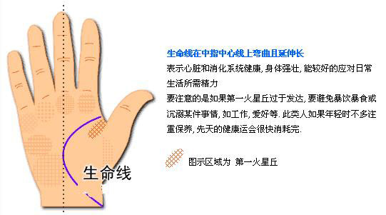 最详细的女人手相图解 最详细的女人手相图解