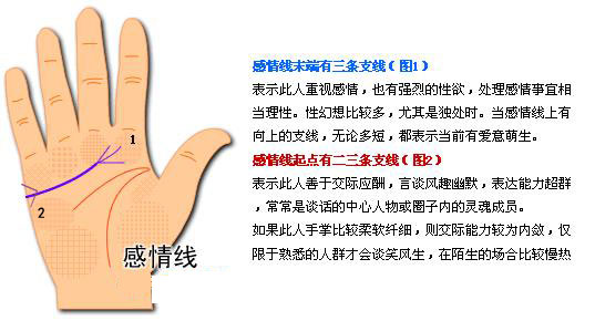 最详细的女人手相图解 最详细的女人手相图解