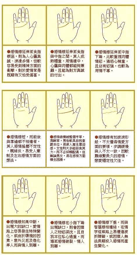 最详细的女人手相图解 最详细的女人手相图解