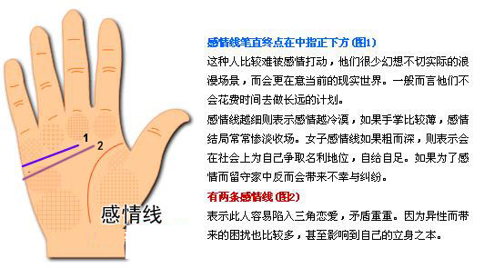 最详细的女人手相图解 最详细的女人手相图解