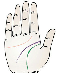 手相 智慧线图解