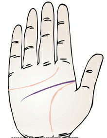 手相 智慧线图解