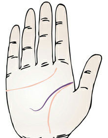 手相 智慧线图解