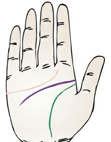 手相 智慧线图解