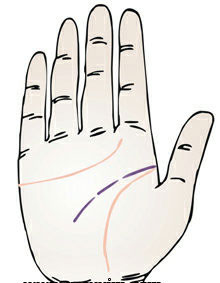 手相 智慧线图解