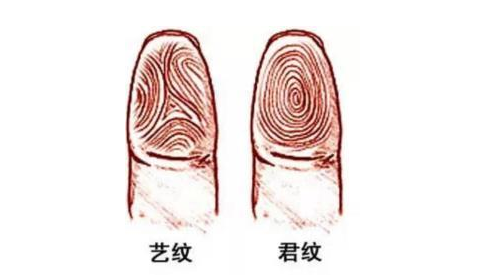 指纹算命二十五:簸箕、簸箕、斗、斗、斗 指纹算命二十五:簸箕、簸箕、斗、斗、斗