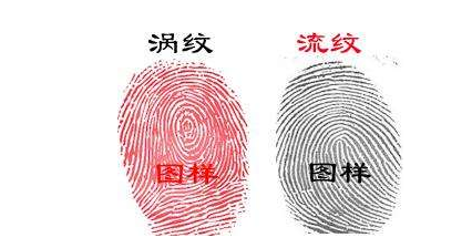 指纹算命十三:斗、簸箕、簸箕、斗、斗 指纹算命十三:斗、簸箕、簸箕、斗、斗