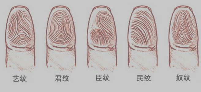 指纹算命九:斗、簸箕、斗、斗、斗 指纹算命九:斗、簸箕、斗、斗、斗