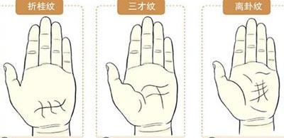 手相掌纹图解大全