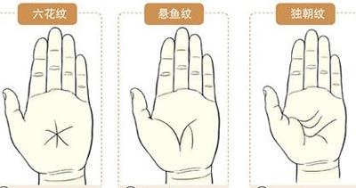 手相掌纹图解大全