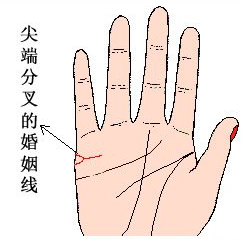 婚姻线尖端分叉