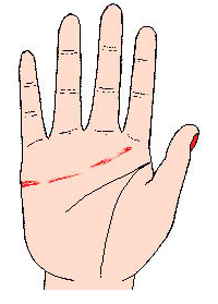 感情线断断续续或呈碎裂状