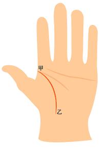 女人生命线图解