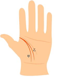 女人生命线图解