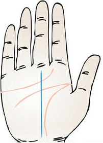 事业线线深直而无别的支线