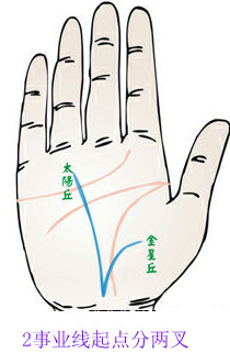 事业线起点分两叉，一支向金星丘，一支向太阳丘