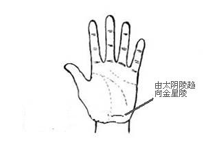 手相 纵欲线【图解】