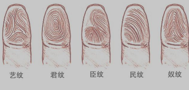 指纹算命二十九:簸箕、簸箕、簸箕、斗、斗 指纹算命二十九:簸箕、簸箕、簸箕、斗、斗
