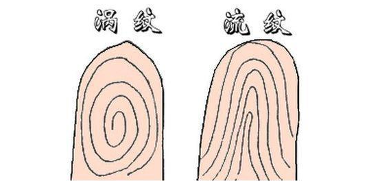 指纹算命三:斗、斗、斗、簸箕、斗 指纹算命三:斗、斗、斗、簸箕、斗