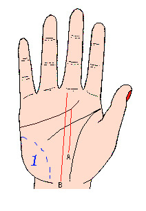 名扬天下者的手相特征