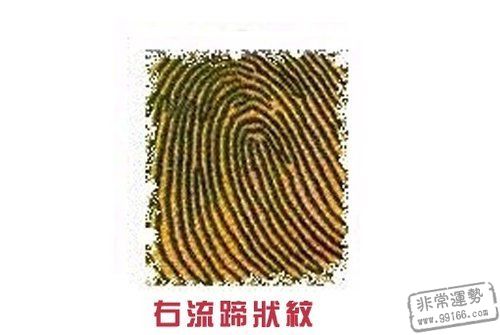 手相算命,指纹算命,爱情