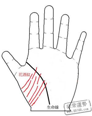 手相,爱情,桃花