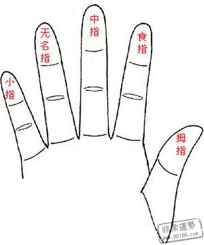 手相算命,五指,手指看相