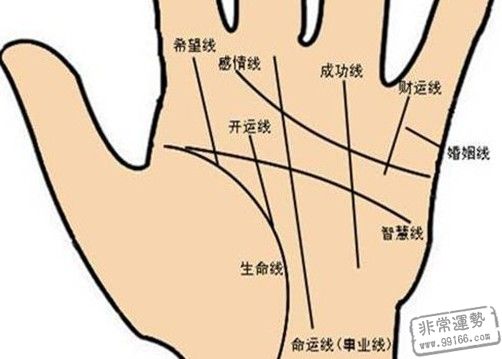 手相算命图解,手相看事业,手相图解
