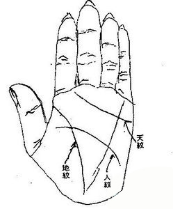 手相,考症纹