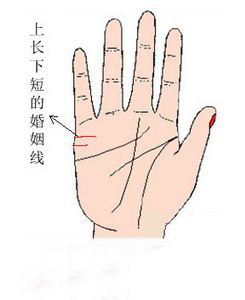 手相,婚姻线