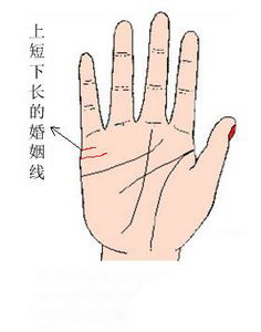 手相,婚姻线
