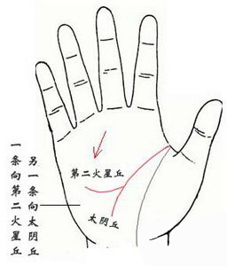 手相,智慧线,末端分叉
