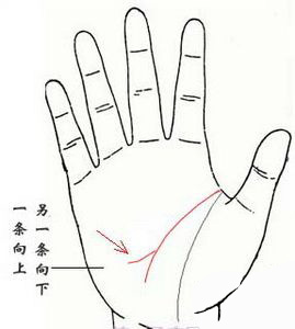 手相,智慧线,末端分叉