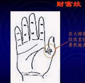 财库,手相