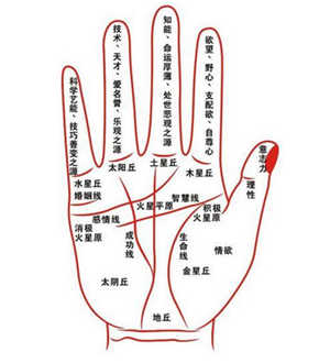 手纹的好坏,手相算命大全,手纹分析