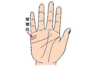 手相图解大全,婚姻线手相,没有婚姻线