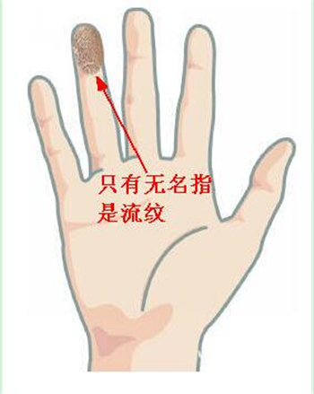 手相分析,贵人运,手相看事业