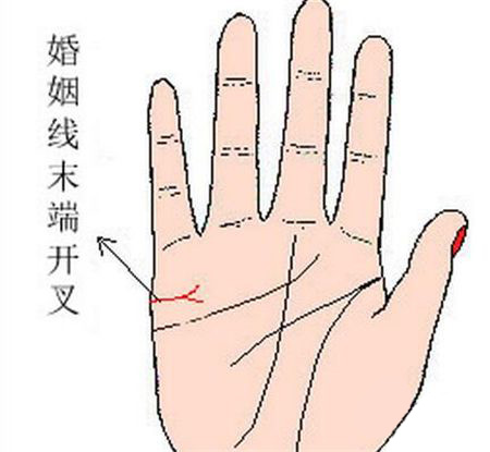 手相特征,手相看桃花运,桃花运差