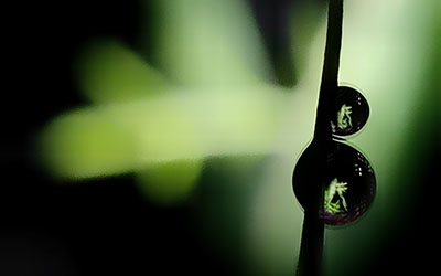 手相分析,爱情忠诚,手相看爱情