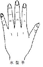 手相,手型看命运