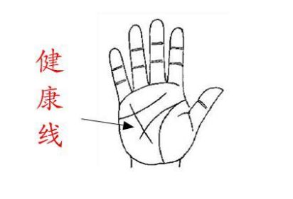 手相,手相健康线