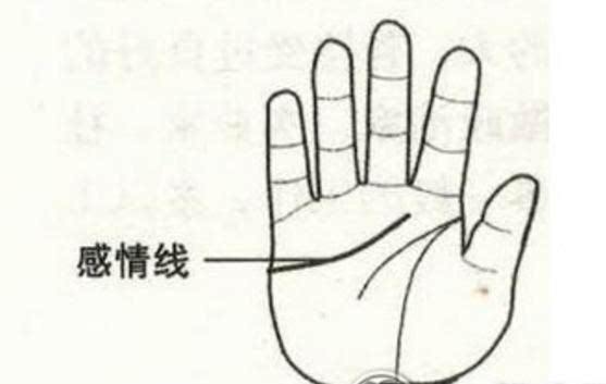 手相,手相桃花