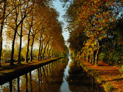 上流水命是什么意思,上流水命详解! 上流水命是什么意思,上流水命详解!