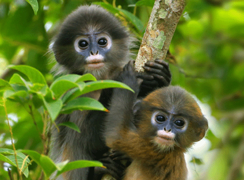 戊申年是哪一年,戊申年是什么命? 戊申年是哪一年,戊申年是什么命?