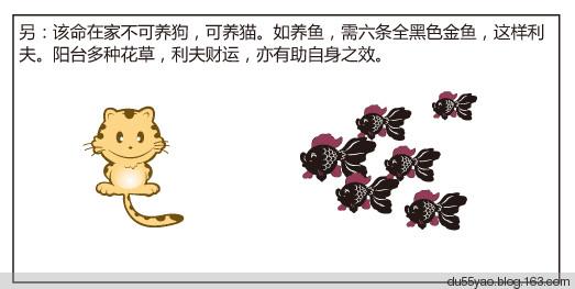 看漫画学算命,漫画解析八字命理! 看漫画学算命,漫画解析八字命理!