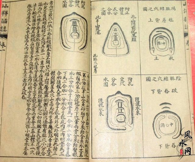 看风水遇到的阴宅出现了问题,坟头被人栽了一棵椿树在亥位-3.jpg 看风水遇到的阴宅出现了问题,坟头被人栽了一棵椿树在亥位-3.jpg