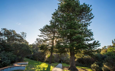 甲木日主生于亥月如何取用神? 甲木日主生于亥月如何取用神?