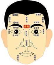 面相,相术,十二宫